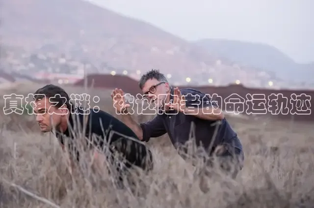 真相之谜：被诬陷者的命运轨迹